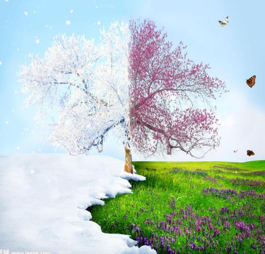 迎接新年的诗句有哪些呢,描写新年的诗句还有什么