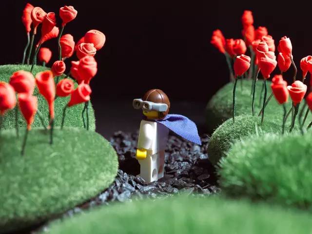 这对小夫妻竟然在家里造出了城堡、火星、九层妖塔