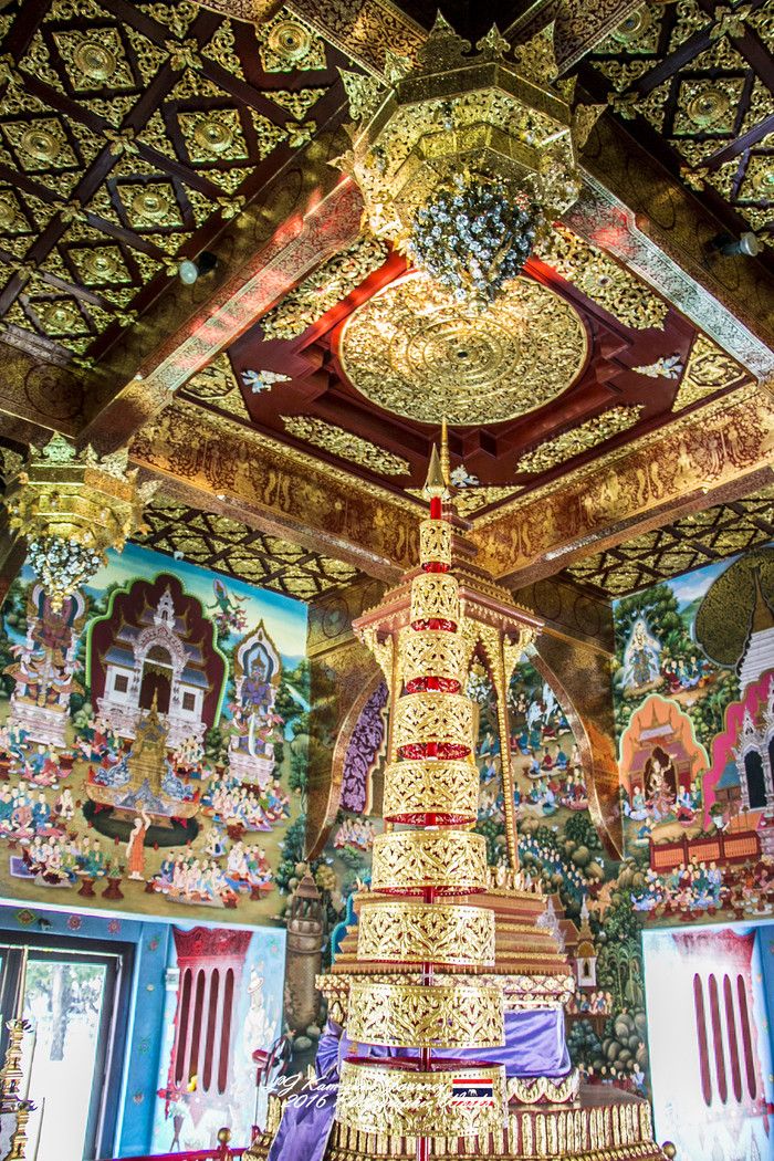 清迈佛寺之城等你采撷的泰北玫瑰,清迈环球旅行家