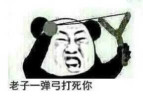 司机阿爹你在干嘛?!再这样我要报警了!