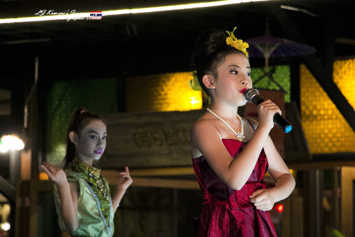 清迈佛寺之城等你采撷的泰北玫瑰,清迈环球旅行家