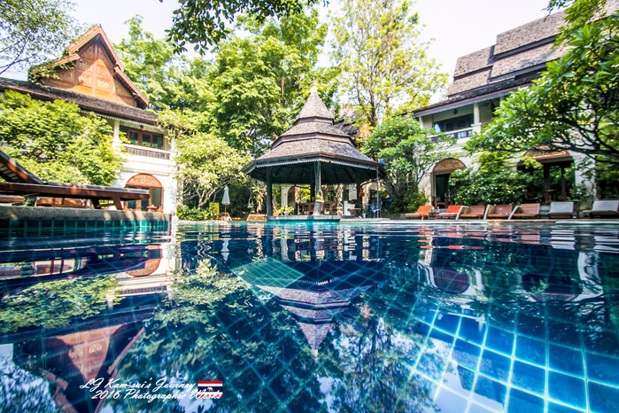 清迈佛寺之城等你采撷的泰北玫瑰,清迈环球旅行家