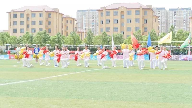 信阳市市长杯足球赛历年冠军,信阳市第7届市长杯足球赛分组