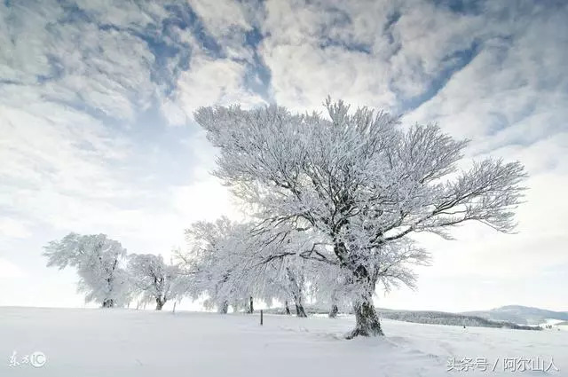 阿尔山冬天去还是夏天去,阿尔山看雪的最佳时间