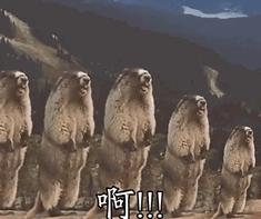 回乡有感的文章,回乡有感