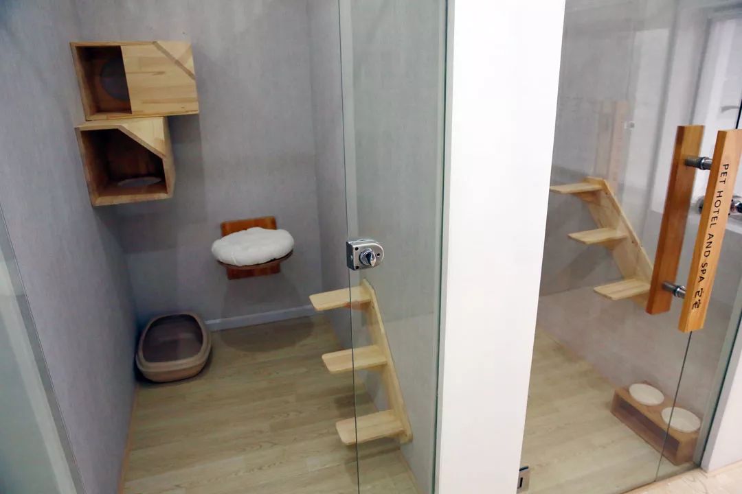 宠物竟然也有五星级酒店,高端宠物酒店推荐