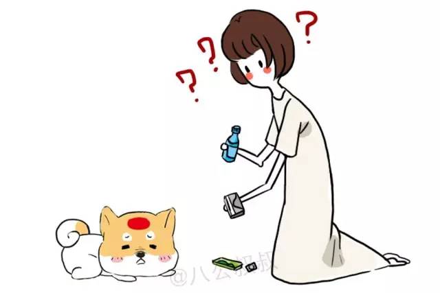 小狗狗得了肠胃炎吃什么食物,狗狗得了肠胃炎期间吃什么饭