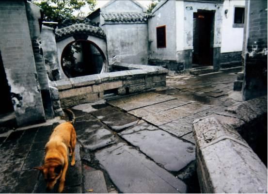 灵动的泉韵，来一场游老街感受老城风味的亲水之旅吧！