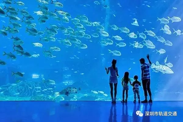 深圳始发高铁汇总,深圳高铁广东省内沿途风景