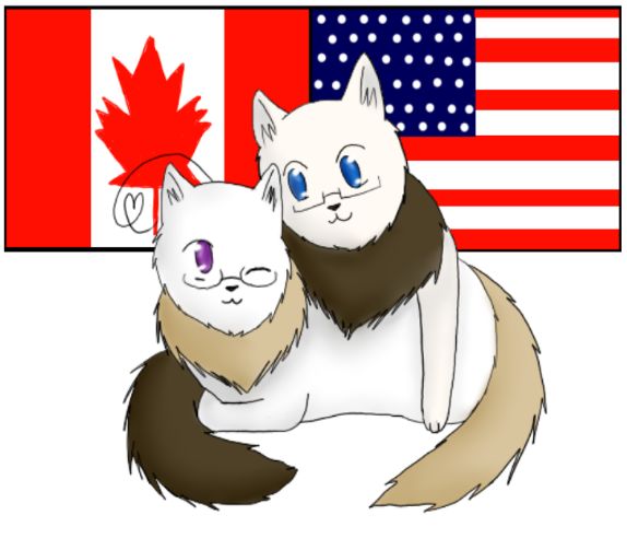 为什么加币汇率变动大 (加币兑换人民币最新汇率)