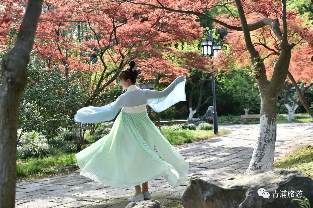 梅时莓刻惊蛰春！这一份青浦春游完整版攻略请收好~