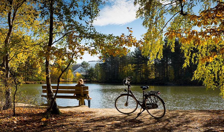 顶级鱼子酱是什么鱼产出来的,世界顶级鱼子酱到底是什么滋味