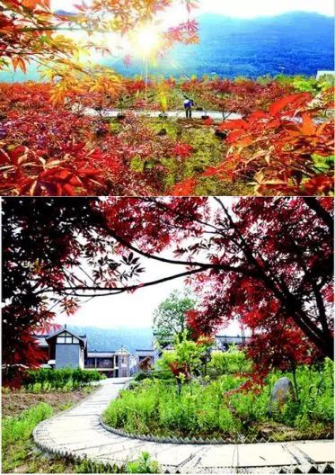 南江，让我再看你一眼，从南到北！