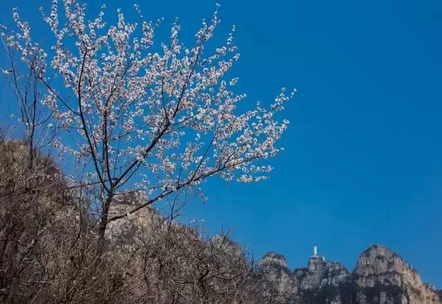 狼牙山龙门湖水上乐园闭园,狼牙山田园花海闭园时间
