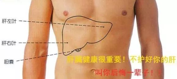 肝受损身体发黑怎么回事,肝是哑巴养肝护肝的禁忌你知道吗