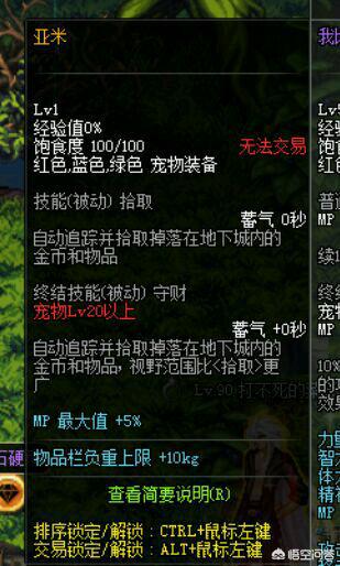 dnf2021至尊宠物和2022普通宠物,dnf历年颜值超高的宠物排行top6