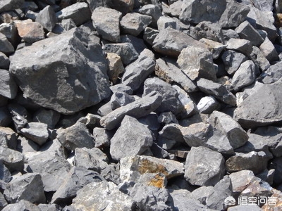 农村做什么项目最赚钱,在农村做什么项目最赚钱