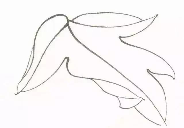 工笔画粉红花染色步骤,10分钟学会工笔画花朵染色