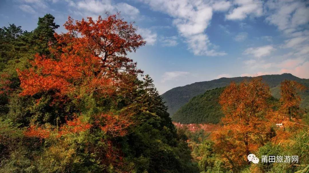 什么是莆田,什么是莆田高版本