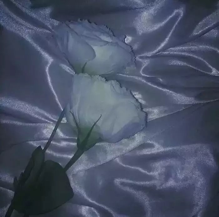 顾城的经典诗句朗读,顾城门前的唯美诗句