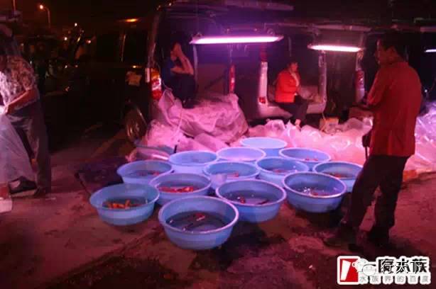 忆天津卫的6大“破烂市儿”,卖书卖花卖宝贝