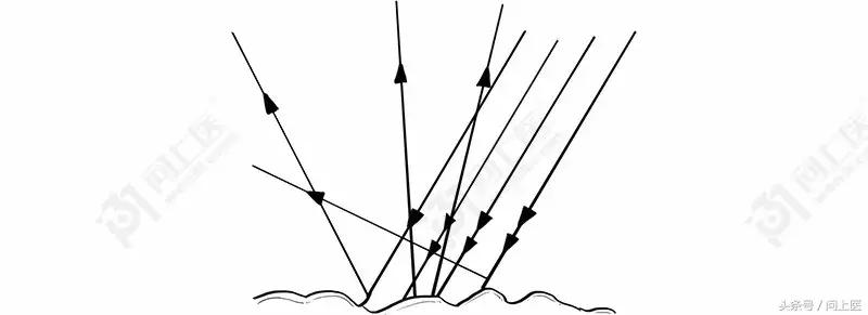 为什么别人的头发总是光滑柔顺你的却毛躁不堪？漫画教你如何护发
