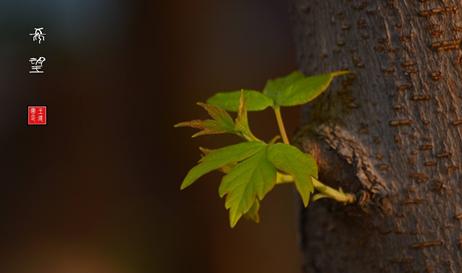 不能告诉你的秘密是什么,不能告诉你的秘密英文版