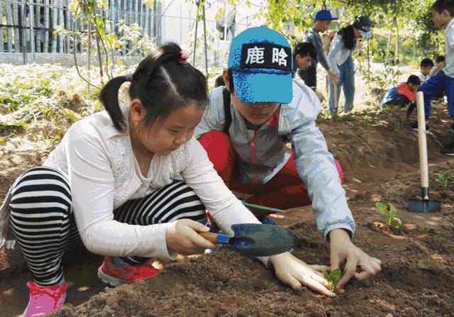 亲子游好去处!番禺周边的农家乐、游乐场、文化园…充实又好玩!