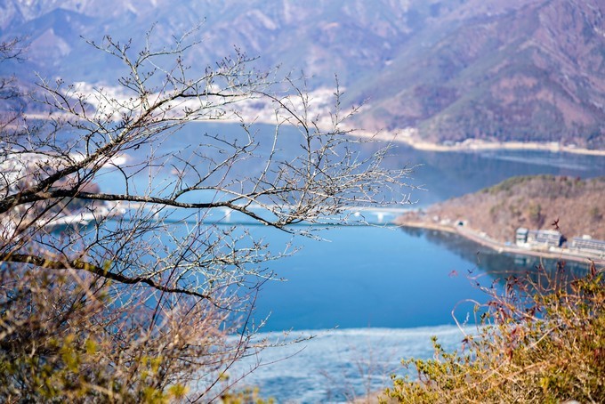 东京必去美食店,日本东京购物美食攻略