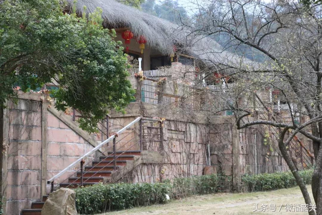 接招吧！开趴，其实还可以这Young过！