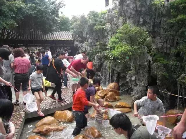 番禺农家乐一日游最佳地点,广州番禺亲子游农庄