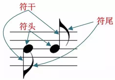 五线谱基础知识大复习，为学看谱，学视唱打好基础