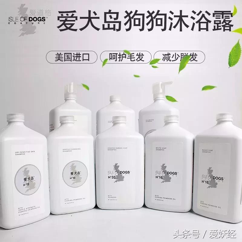 宠物洗护攻略,爱妖经养宠怎么玩