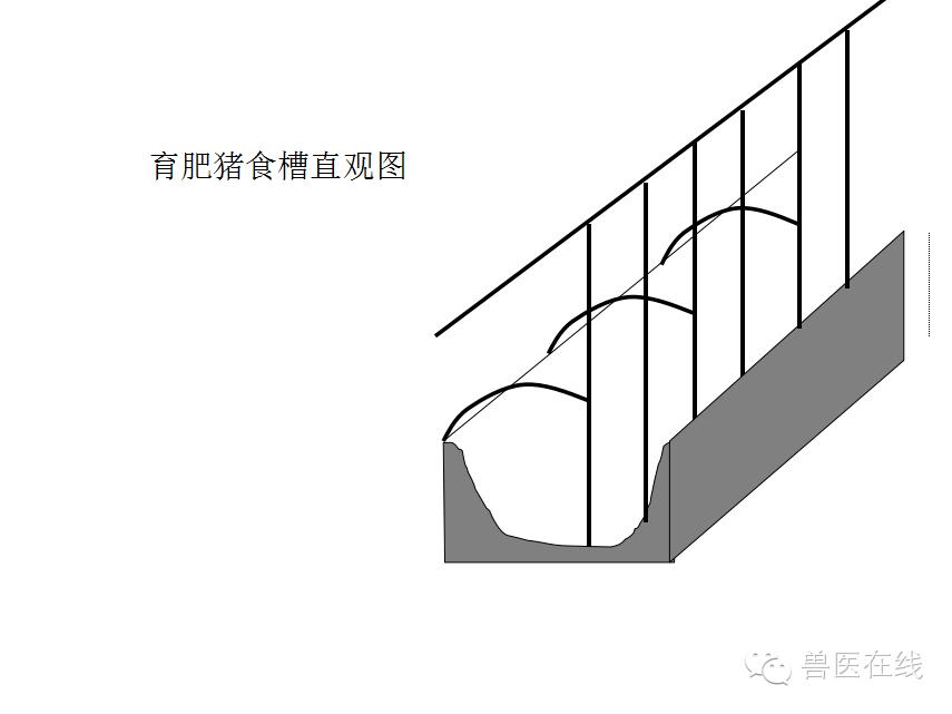 猪场刮粪机排粪沟设计图,100头母猪猪场设计图