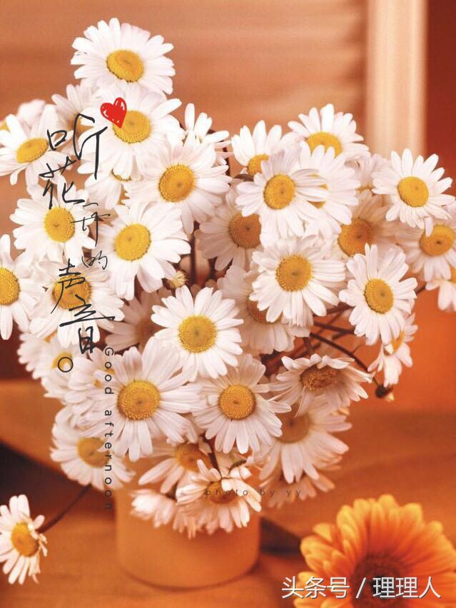 文字p图教程黄油相机,图片文字模糊化处理黄油相机