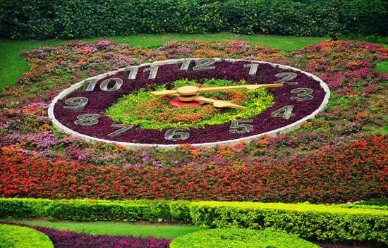 上海新年值得去的地方,春节被挤爆了的九个景点