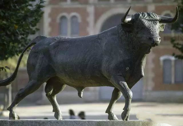 兰博基尼小牛盖拉多视频,兰博基尼