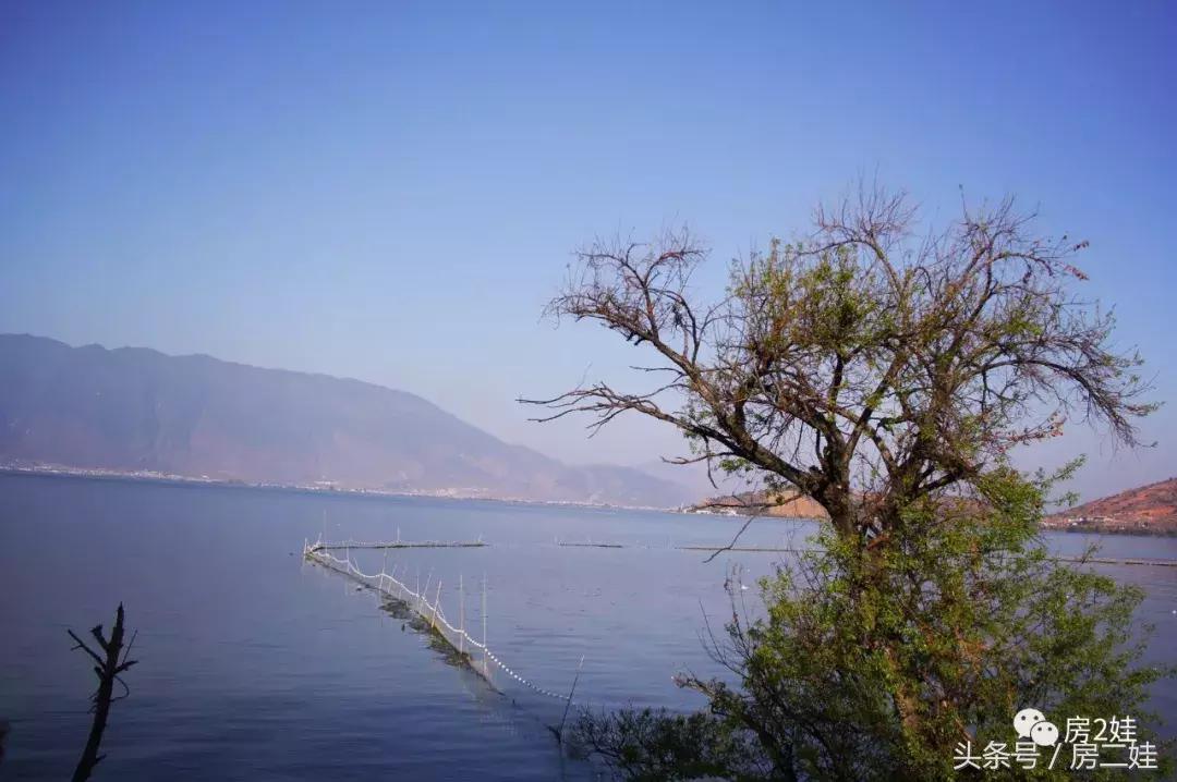 去了趟大理双廊亲自见识了杨丽萍的最美“豪宅”