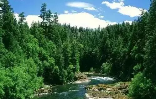 只有重庆本地人才知道的小众景点,重庆推荐小众景点