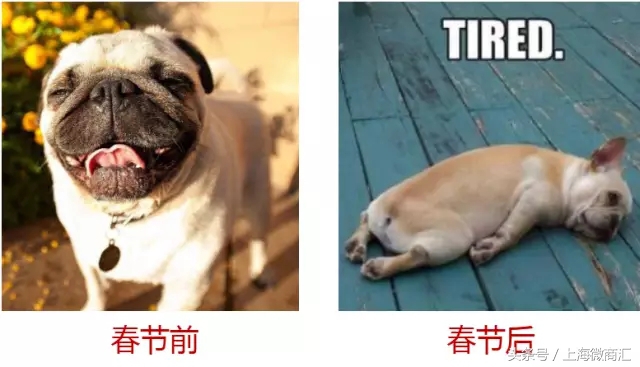 所有人开工大吉,愿所有的人开工大吉