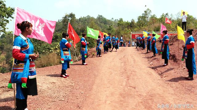 三万棵曼松古茶树,王子山曼松古茶树