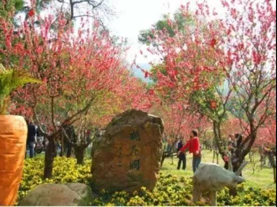 滚蛋吧,春困君!广东这些花花世界让你秒变龙马精神!