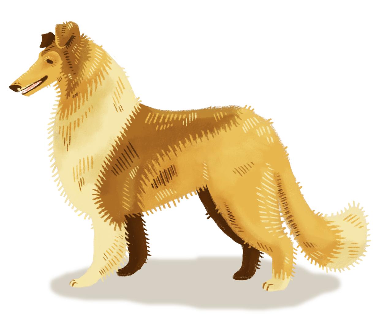 韩国插画师negrim的插画作品,插画师hana美食插画