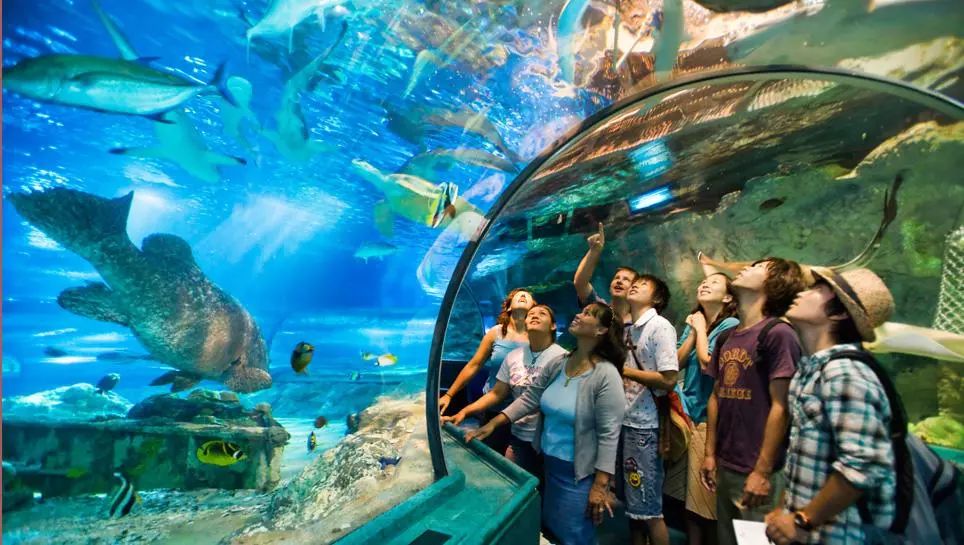 上海新年一定要去的地方,过年上海去哪玩好又便宜又好玩