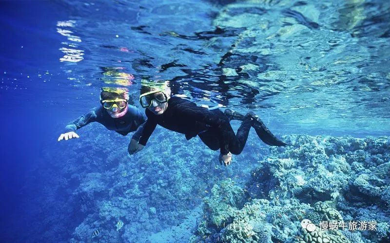 你永远不知道水下存在的危险,浮潜和潜水哪个更好