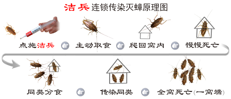床上爬蟑螂怎么解决,蟑螂晚上会爬人身上吗