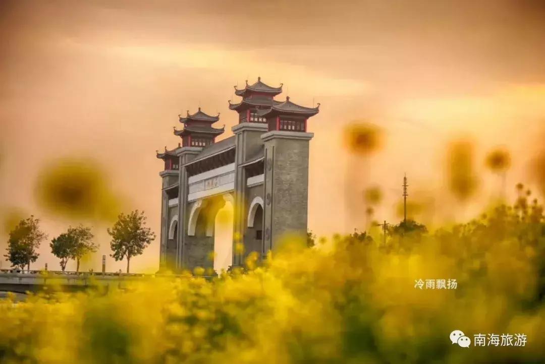 佛山南海赏油菜花,佛山南海油菜花田旅游景点