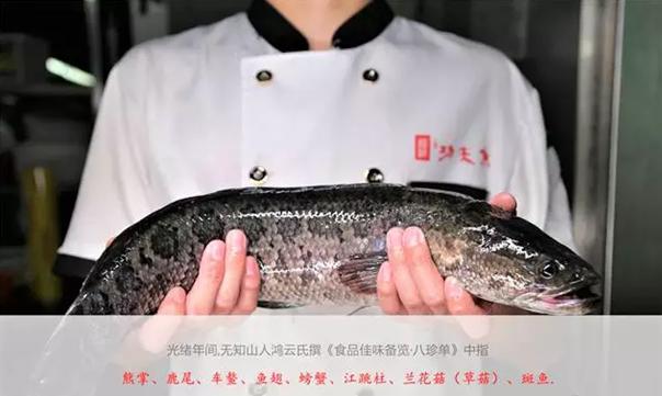 鱼的吃法大全鱼块,鱼的殿堂级做法