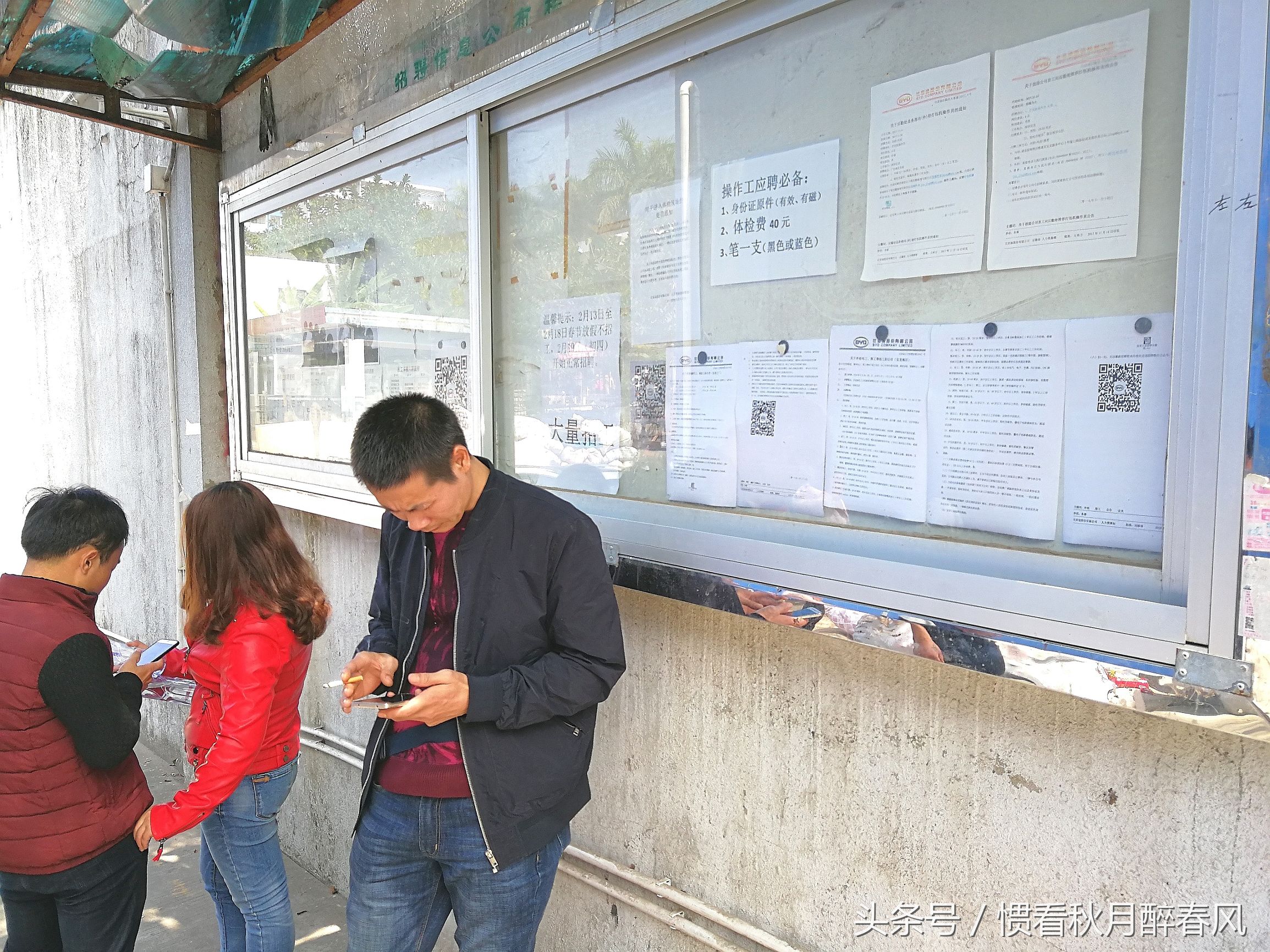 宝龙比亚迪招聘直招,宝龙比亚迪最新招工信息