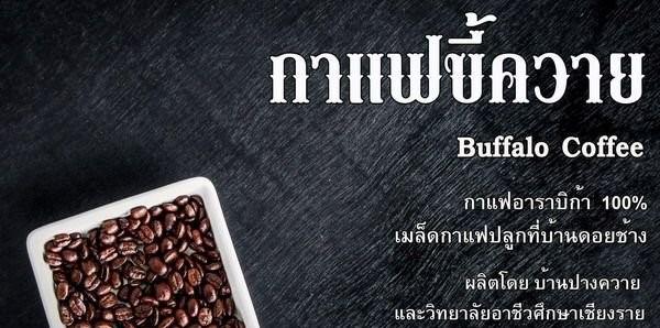 泰国猫屎咖啡多少钱,泰国牛屎咖啡多少钱一公斤